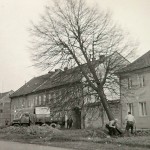 1950-59: ČSA - kácení stromů