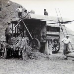 1920-50?: Zemědělství, JZD_6
