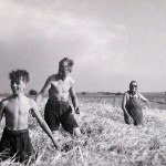 1920-50?: Zemědělství, JZD_1