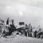 1920-50?: Zemědělství, JZD_3