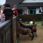 DSC_4138