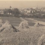 ?: Pohlednice - 000980
