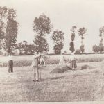 1935: Pohlednice - 001155