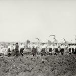1931 srpen - Obžínky - S2120034