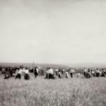 1931 srpen - Obžínky - S2120038