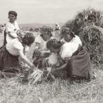1931 srpen - Obžínky - S2120051