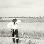 1931 srpen - Obžínky - S2120056