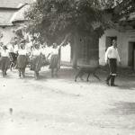1931 srpen - Obžínky - S2120071