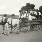 1931 srpen - Obžínky - S2120092