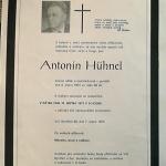 1973 - Huhnel parte - S2090021
