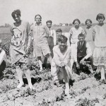1930-39: Cukrovar