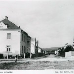 ?: Na svobodě