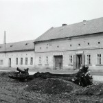 1950-59: Likvidace stromů ČSA