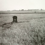 ?: Historický kámen za VB k Holici