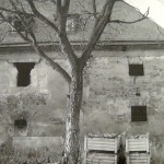 1989?: Zámek - rekonstrukce